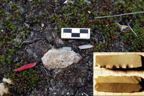 Археологические исследования на Охотско-Колымском водоразделе и в устье Наяхана