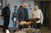 ЧУЧЕЛО РОСОМАХИ