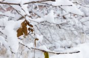 ЧАСЫ РАБОТЫ ИЗМЕНИЛИСЬ! ЧАСЫ РАБОТЫ ИЗМЕНИЛИСЬ!